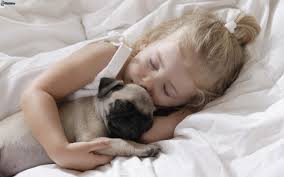 Do all pugs breathe very loud when sleeping and awake?