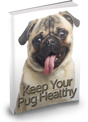 Keep Your Pug Healthy 300